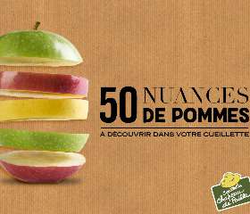 Fête de la pomme