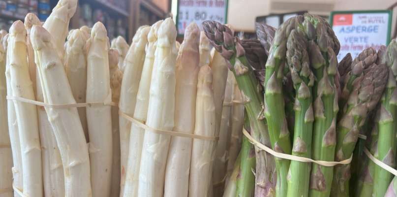 OFFRE SPECIALE ASPERGES