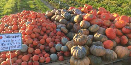 Courges de Rutel