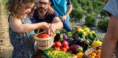 Fruits et légumes en abondance ! 