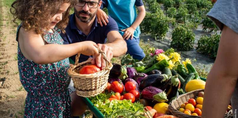 LEGUMES ETE ET TOMATES
