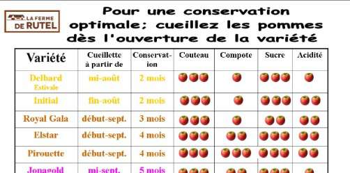 Conseil récolte Pommes