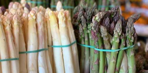 Asperges de la cueillette