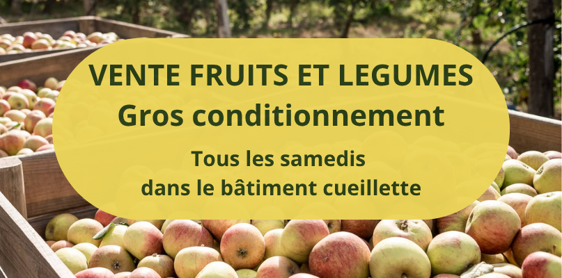 BATIMENT CUEILLETTE