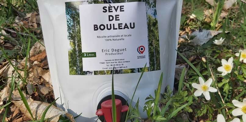 SEVE DE BOULEAU