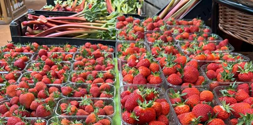 Fraises de Rutel